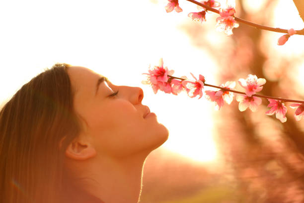 Oxygen Bar – Breathe Your Way to Better Health  Now Available at All Three Ideal Body Clinic Locations: Monkland • Sherbrooke • Châteauguay
